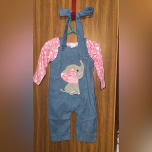 Adorable Pink and Blue Elephant Kids Matching Set